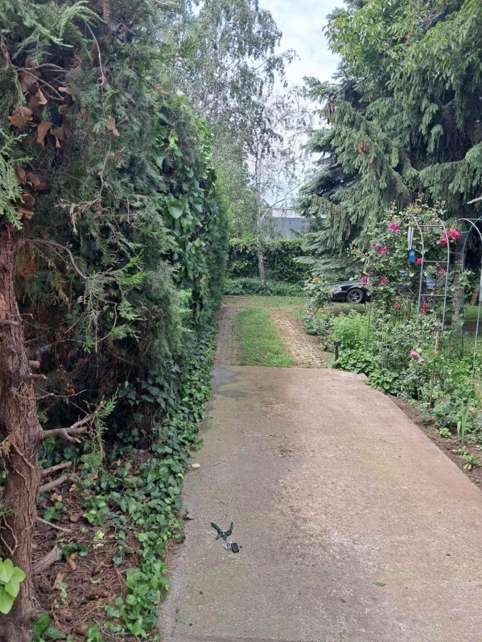 2 Rooms Retro Guesthouse In A Silent Garden 베체스 외부 사진